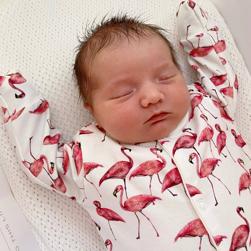 Fred & Noah - Flamingo cotton sleepsuit