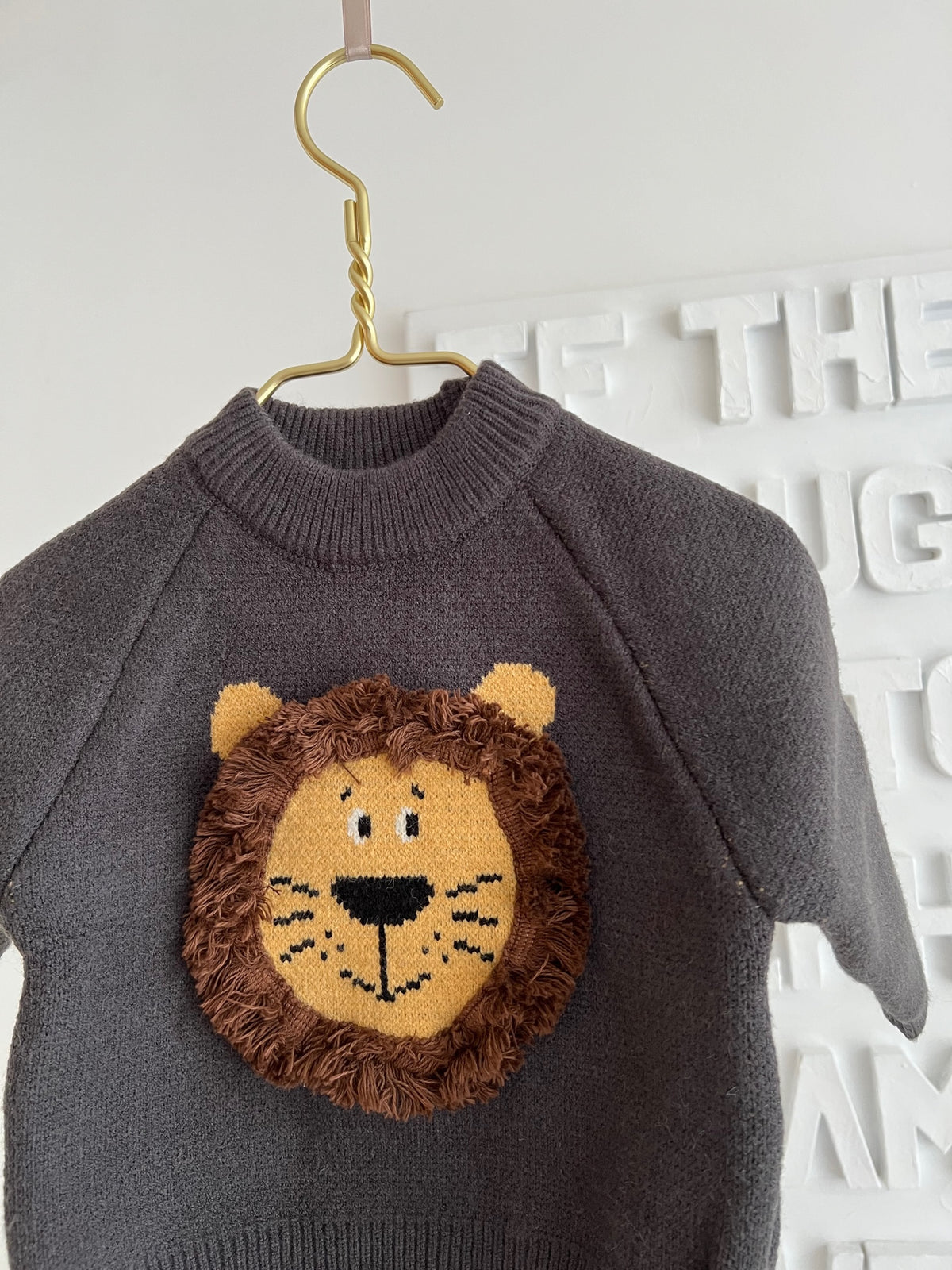 Brown Jumper with Cute Lion Detail